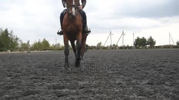 Jongeman horseback het berijden buiten. Mannelijke jockey op paard joggen op de manege op boerderij op zomerdag. Prachtige natuur bij achtergrond. Hengst close-up. Liefde voor dieren. Slow-motion. Vooraanzicht — Stockvideo