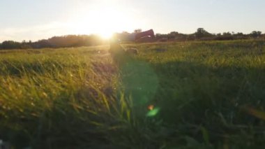 Genç adam pratik Yoga hamle ve yeşil ot, çayır, konumlandırır. Sportif adam yoga poz doğada ayakta. Güzel manzara arka plan olarak. Yogi açık, sağlıklı aktif yaşam tarzı