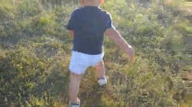 Küçük çocuk alanı, yeşil çimenlerin üzerinde güneşli gün babasına gider. Bir yaz çayır üzerinde mutlu bir aile. Bebek çocuğun babası açık. Yürümeye başlayan çocuk yürümeyi öğrenme. Arka arka görüş. Yakın çekim.