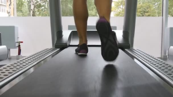 Piernas femeninas caminando en la cinta en el gimnasio. Mujer joven haciendo ejercicio durante el ejercicio cardiovascular. Los pies de las niñas en zapatos deportivos de entrenamiento en interiores en el club deportivo. De cerca. — Vídeo de stock