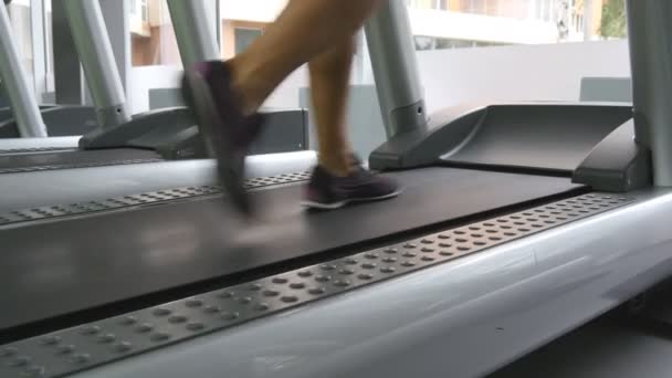 Female legs walking on treadmill in gym. Young woman exercising during cardio workout. Feet of girls in sport shoes training indoor at sport club. Close up — Stock Video