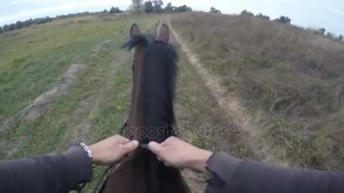 İlk kişi görünümü bir at sürme. Bakış açısı, Aygır, doğa yürüyüş binici. POV hareket. Yakın çekim