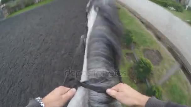 First person view of riding a horse. Point of view of rider walking at stallion at nature. Pov motion. Close up — Stock Video