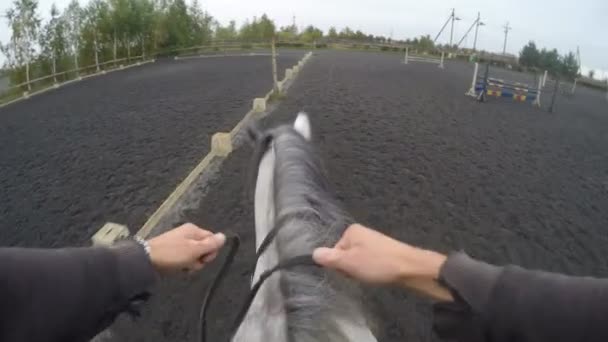 Vista en primera persona de montar a caballo. Punto de vista del jinete caminando en semental en la naturaleza. Movimiento Pov. De cerca. — Vídeo de stock