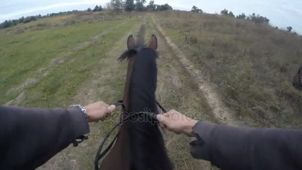 Eerste persoonsmening voor het berijden van een paard. Oogpunt van rider wandelen op hengst op aard. Beweging van de POV. Close-up — Stockvideo