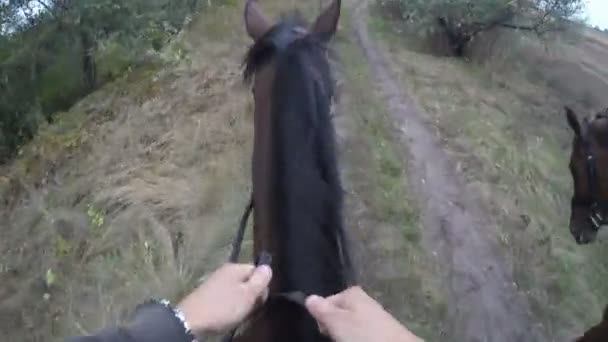 Vista em primeira pessoa de montar um cavalo. Ponto de vista do cavaleiro andando no garanhão na natureza. Moção de propaganda. Fechar — Vídeo de Stock