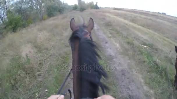 馬に乗っての最初の人のビュー。自然に種牡馬で歩いているライダーの視点ハメ撮り動画。クローズ アップ — ストック動画