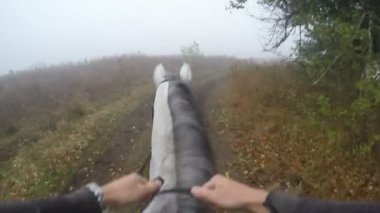 İlk kişi görünümü bir at sürme. Bakış açısı, Aygır, doğa yürüyüş binici. POV hareket. Yakın çekim
