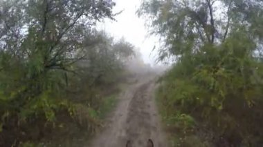 İlk kişi görünümü bir at sürme. Bakış açısı, Aygır, doğa yürüyüş binici. POV hareket. Yakın çekim