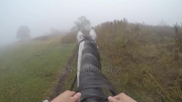 Eerste persoonsmening voor het berijden van een paard. Oogpunt van rider wandelen op hengst op aard. Beweging van de POV. Close-up — Stockvideo