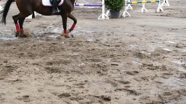 Ноги лошади бегут по грязи. Медленно — стоковое видео