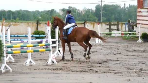 Cavalcate professionistiche da fantino a cavallo. Cavallo sta galoppando e saltando attraverso una barriera in competizione — Video Stock