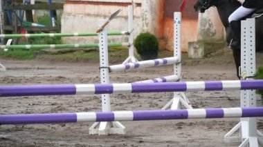 Profesyonel kadın jokey at sırtında sürmek. At kumun üzerinde çalışır ve bir engel atlar. Ağır çekim
