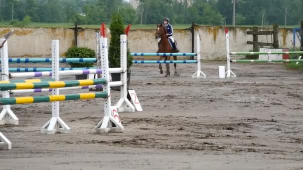 Jockey femenino profesional monta a caballo. Caballo corre sobre la arena y salta a través de una barrera. Movimiento lento — Vídeo de stock