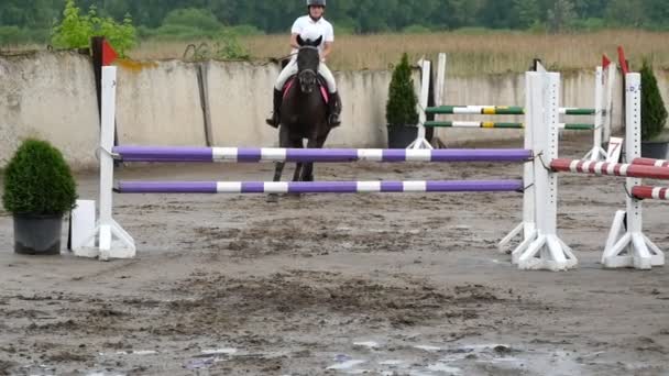 Jockey femenino profesional monta a caballo. Caballo corre sobre la arena y salta a través de una barrera. Movimiento lento — Vídeo de stock