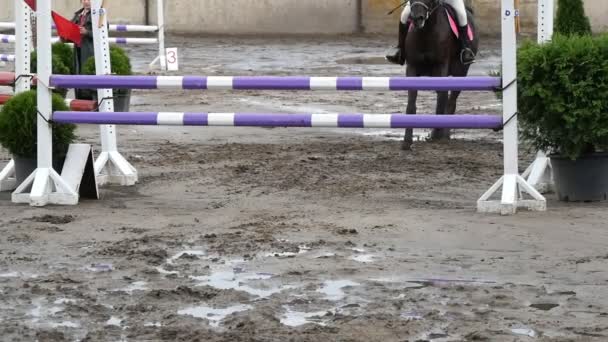 Fechar os pés de cavalo. O cavalo corre na areia e salta através de uma barreira. Movimento lento — Vídeo de Stock