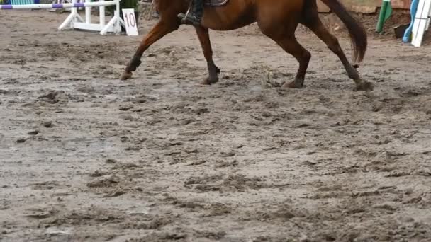 Gros plan des pieds de cheval. Le cheval court sur le sable et saute à travers une barrière. Mouvement lent — Video