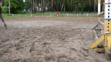 At metrelik kapatın. At kumun üzerinde çalışır ve bir engel atlar. Ağır çekim