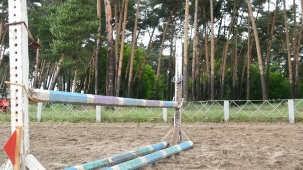 馬足のクローズ アップ。馬は砂の上を実行し、バリアを介してジャンプします。スローモーション — ストック動画