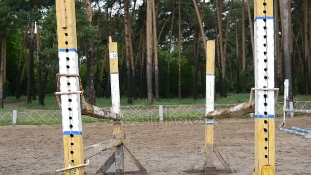 Primer plano de los pies de caballo. Caballo corre sobre la arena y salta a través de una barrera. Movimiento lento — Vídeo de stock