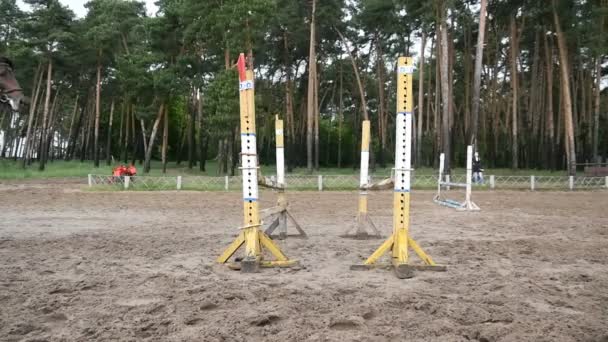 Professionele vrouwelijke jockey ritten te paard. Paard loopt op het zand en springt door een barrière. Slow motion — Stockvideo