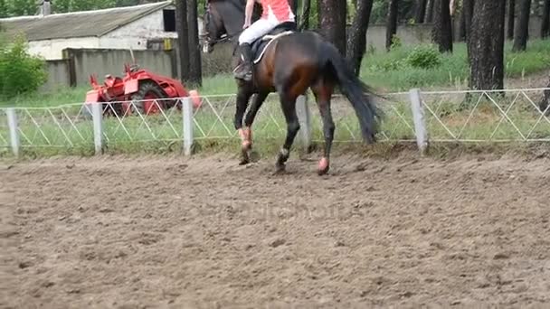 Pie de caballo corriendo sobre barro. Primer plano de las piernas galopando en el suelo mojado y fangoso. Movimiento lento — Vídeos de Stock