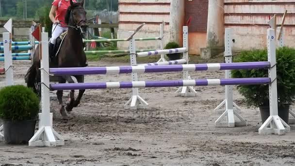 Профессиональные женщины-жокеи ездят верхом. Лошадь скачет и прыгает через барьер в соревнованиях — стоковое видео