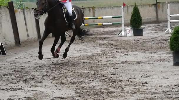 Professionele vrouwelijke jockey ritten te paard. Paard loopt op het zand en springt door een barrière. Slow motion — Stockvideo