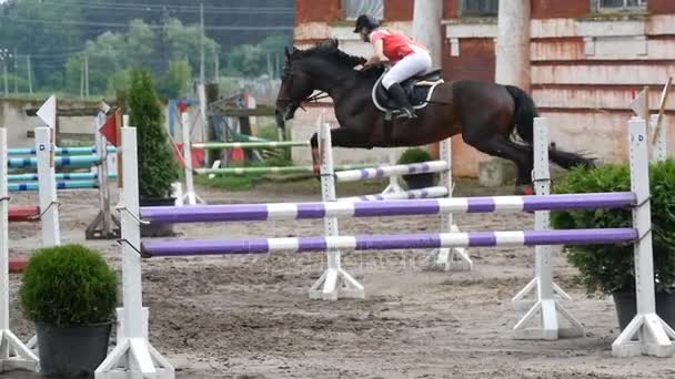 Jockey femenino profesional monta a caballo. Caballo galopando y saltando a través de una barrera en la competencia — Vídeos de Stock