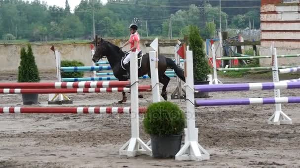 Jockey femenino profesional monta a caballo. Caballo galopando y saltando a través de una barrera en la competencia — Vídeo de stock