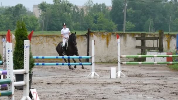 Professionelle Jockeyreiterinnen zu Pferd. Pferd läuft auf Sand und springt durch Barriere. — Stockvideo