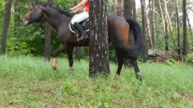 At kadın jokey ile orman yeşil çimlere yürüyüş