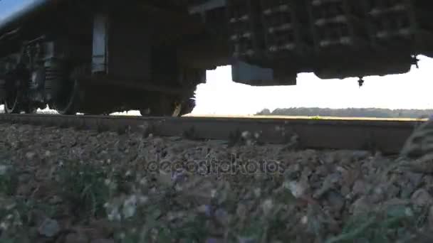 Passagierstrein passeert door een camera. Wielen van de trein verplaatsen langs de rails close-up. Close-up shot van een passagier trein langs. Comfortabel reizen met de trein. — Stockvideo