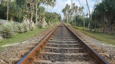 Kamera, arka plan, egzotik tropik doğa ile Demiryolu boyunca ileri taşıyın. Demiryolu parça kapatın. Bakış açısı ile hareket tren Asya'da izler. Ağır çekim yakın çekim