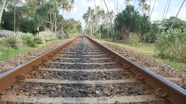 Fotocamera andare avanti lungo la ferrovia con la natura tropicale esotica sullo sfondo. I binari si chiudono. Punto di vista del treno che si muove lungo i binari in Asia. Rallentatore Close up — Video Stock