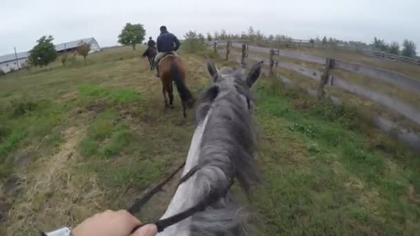 Πρώτο πρόσωπο θέα της ιππασίας ένα άλογο. Άποψη του αναβάτη περπάτημα στην stallion στην φύση. POV κίνηση. Κοντινό πλάνο — Αρχείο Βίντεο