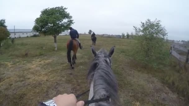 Eerste persoonsmening voor het berijden van een paard. Oogpunt van rider wandelen op hengst op aard. Beweging van de POV. Close-up — Stockvideo