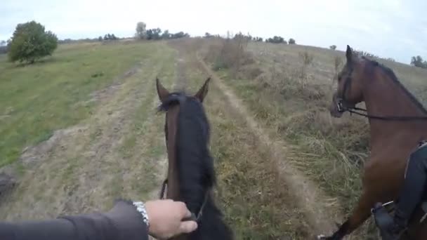 馬に乗っての最初の人のビュー。自然に種牡馬で歩いているライダーの視点ハメ撮り動画。クローズ アップ — ストック動画