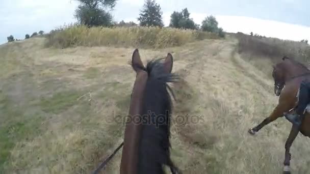 Vista em primeira pessoa de montar um cavalo. Ponto de vista do cavaleiro andando no garanhão na natureza. Moção de propaganda. Fechar — Vídeo de Stock