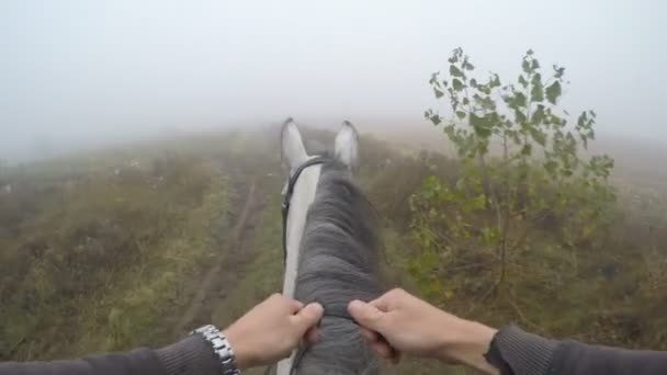 Vista em primeira pessoa de montar um cavalo. Ponto de vista do cavaleiro andando no garanhão na natureza. Moção de propaganda. Fechar — Vídeo de Stock