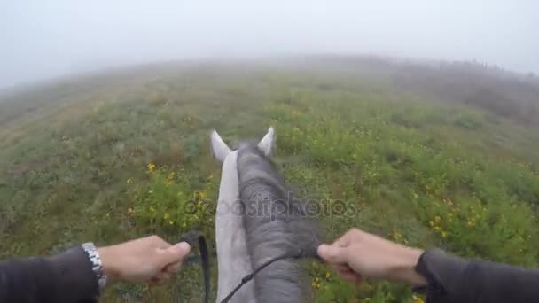 Vista em primeira pessoa de montar um cavalo. Ponto de vista do cavaleiro andando no garanhão na natureza. Moção de propaganda. Fechar — Vídeo de Stock