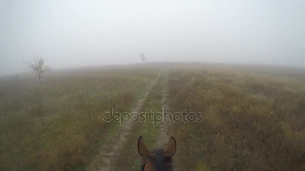 Första person vy av Rider en häst. Synpunkt av rider promenader på hingsten på naturen. POV rörelse. Närbild — Stockvideo