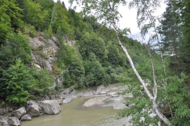 Ormandaki dağ nehri