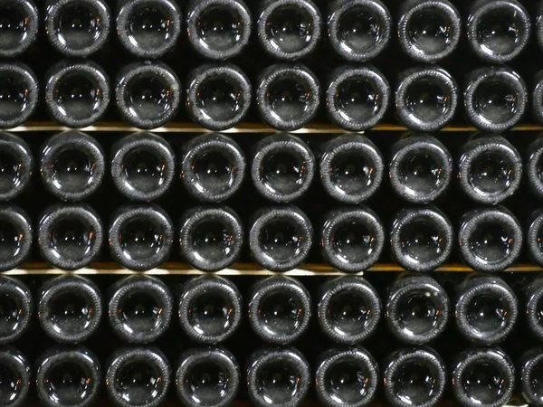 Old bottles of wine in rows in wine cellar. Rows of many wine bottles in winery cellar storage. Beautiful texture or background. Close up