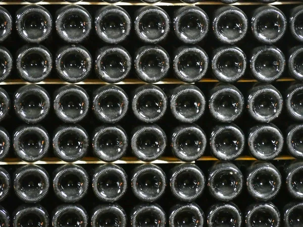 Old bottles of wine in rows in wine cellar. Rows of many wine bottles in winery cellar storage. Beautiful texture or background. Close up
