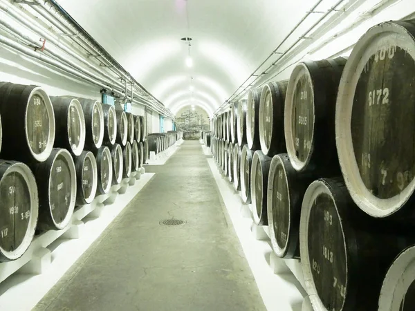 Eski meşe fıçıların Cellars şarap bir satır içinde. Güzel antika arka plan. Yakın çekim