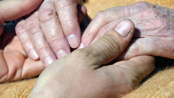 Ein junger, schmutzig arbeitender Mann tröstet ein älteres Paar Hände der Großmutter im Freien — Stockfoto