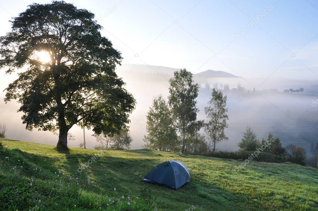 Tourist tent in camp