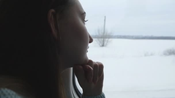 Giovane donna che guarda sul finestrino durante la guida in treno. Profilo di attraente ragazza che viaggia su ferrovia durante l'inverno. Da vicino. — Video Stock