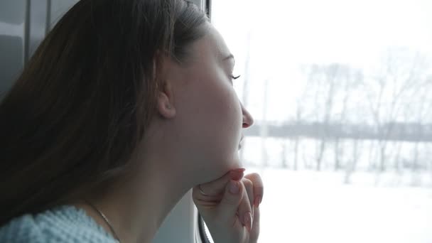 Mujer joven mirando por la ventana durante el viaje en tren. Perfil de chica atractiva que viaja en ferrocarril. Cámara lenta Primer plano — Vídeos de Stock